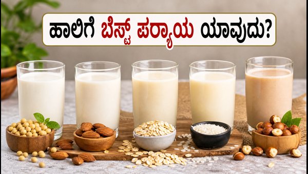 Best Plant-Based Milk for Weight Loss and Diabetes Control 2026: A Complete Guide