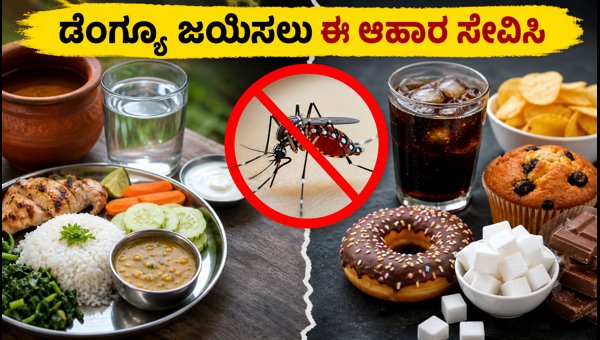 Dengue Fever Diet and Recovery: Essential Foods to Boost Immunity and Platelet Count in 2026