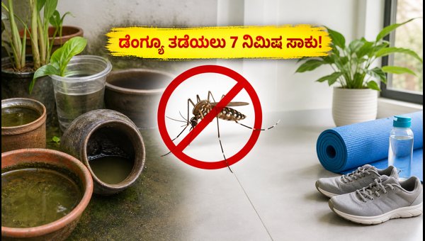 Dengue Prevention Tips 2026: 7-Minute Home Anti-Dengue Checklist and Safe Indoor Exercises
