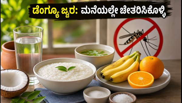 Dengue Recovery Diet: Best Foods, Homemade ORS Recipe, and Essential Tips for Quick Healing in 2026