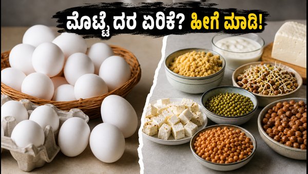 Egg Prices Today: Smart Tips for Budget-Friendly Protein Diet in 2026