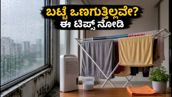 How to Dry Clothes Fast and Prevent Mold in Apartments During Rainy Season 2026: Simple Hacks How to Dry Clothes Fast and Prevent Mold in Apartments During Rainy Season 2026: Simple Hacks