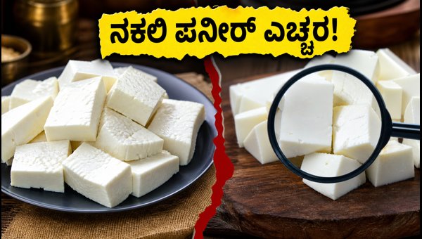Analogue Paneer Ban: FSSAI Crackdown on Fake Paneer and How to Identify Real Dairy Products in 2026