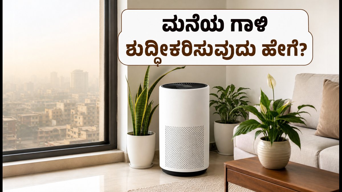 ದೆಹಲಿ ವಾಯು ಮಾಲಿನ್ಯ: ಮನೆಯಲ್ಲಿ ಶುದ್ಧ ಗಾಳಿ ಪಡೆಯಲು ಈ ಸರಳ ಟಿಪ್ಸ್ ಪಾಲಿಸಿ