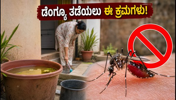 Dengue Prevention Guide 2026: Essential Home Safety Tips and Health Precautions Dengue Prevention Guide 2026: Essential Home Safety Tips and Health Precautions