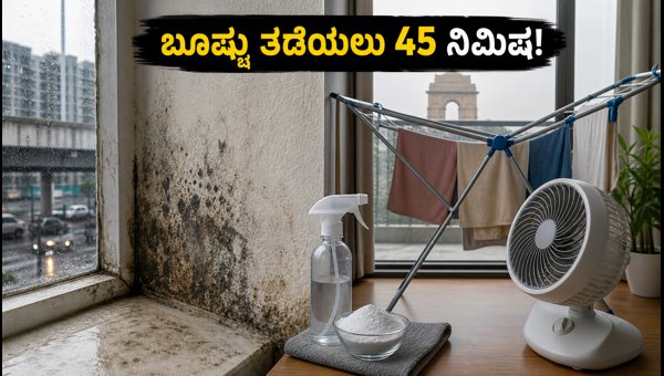 How to Prevent Mold and Dampness in Homes During Delhi-NCR Rains 2026 How to Prevent Mold and Dampness in Homes During Delhi-NCR Rains 2026