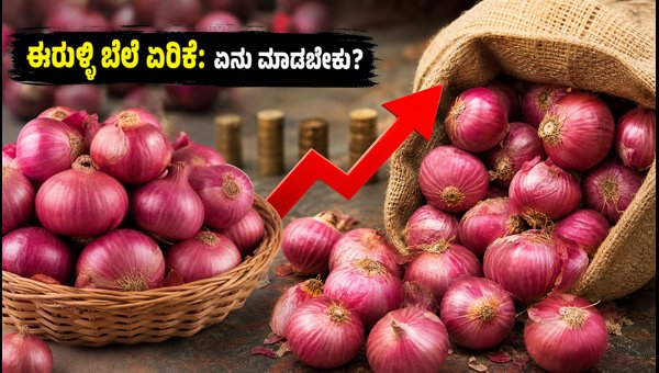 Onion Price Hike 2026: Smart Tips to Store Onions and Manage Your Monthly Kitchen Budget Effectively Onion Price Hike 2026: Smart Tips to Store Onions and Manage Your Monthly Kitchen Budget Effectively