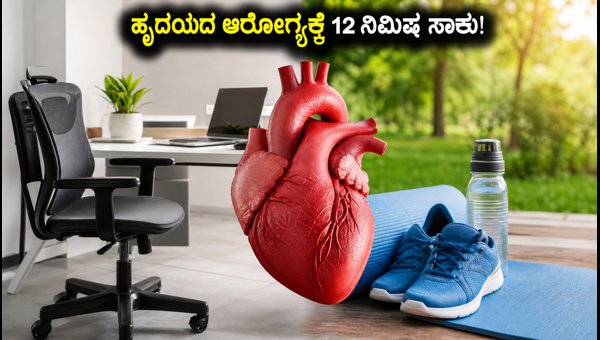 World Physiotherapy Day 2026: Simple 12-Minute Heart Health Workout and Stroke Prevention Guide