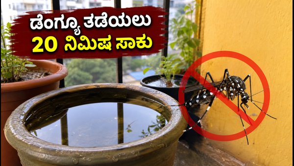 Dengue Prevention in Delhi 2026: A 20-Minute Home Checklist to Stop Mosquito Breeding Effectively