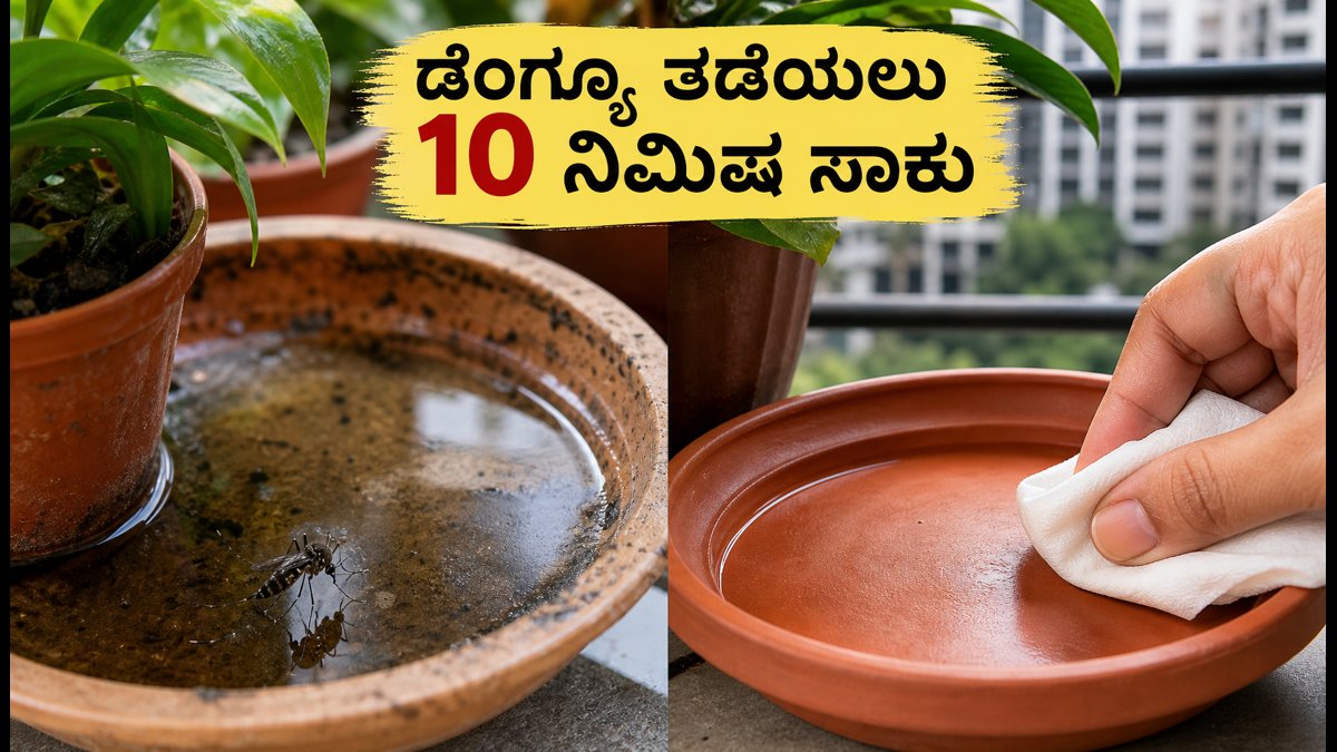 ಡೆಂಗ್ಯೂ ಭೀತಿ: ನಿಮ್ಮ ಬಾಲ್ಕನಿಯಲ್ಲಿ ಸೊಳ್ಳೆಗಳ ಸಂತಾನೋತ್ಪತ್ತಿ ತಡೆಯಲು 10 ನಿಮಿಷದ ಸಿಂಪಲ್ ಟಿಪ್ಸ್!