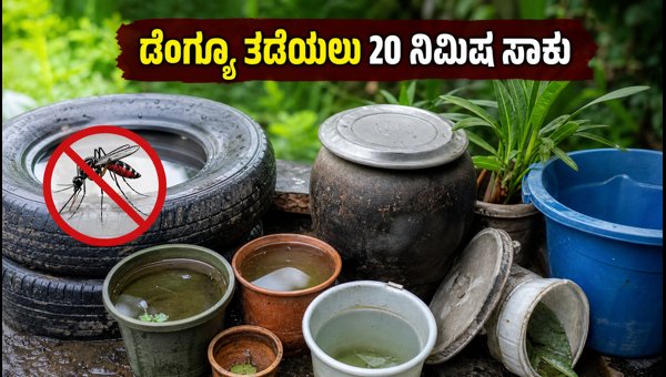 Dengue Prevention Tips: Stop Mosquito Breeding Before Monsoon 2026 Dengue Prevention Tips: Stop Mosquito Breeding Before Monsoon 2026