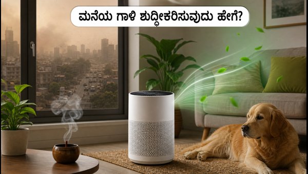Indoor Air Quality Tips: How to Purify Home Air Amid Rising Pollution Levels in 2026 Indoor Air Quality Tips: How to Purify Home Air Amid Rising Pollution Levels in 2026