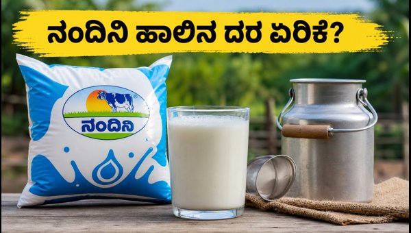 Nandini Milk Price Hike 2026: New Rates, Impact on Household Budget and Calcium Alternatives