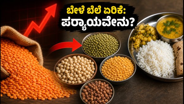 Pulse Price Hike 2026: Budget-Friendly Protein Alternatives and Meal Plans for Families