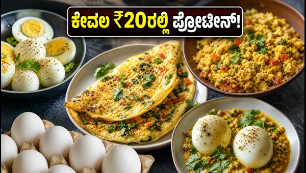World Egg Day 2026: How to Get Protein on a ₹20 Budget
