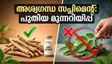 അശ്വഗന്ധ സപ്ലിമെന്റുകൾ വാങ്ങുന്നവർ ശ്രദ്ധിക്കുക! നിങ്ങളുടെ ആരോഗ്യത്തെ ബാധിക്കുന്ന പുതിയ FSSAI ഉത്തരവ് പുറത്ത്