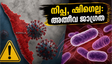 നിപ്പയും ഷിഗെല്ലയും: ഗർഭിണികളും പിസിഒഎസ് ഉള്ളവരും ഈ കാര്യങ്ങളിൽ അതീവ ജാഗ്രത പുലർത്തണം