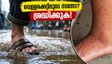 മുംബൈയിൽ എലിപ്പനി ജാഗ്രത: വെള്ളക്കെട്ടിലൂടെ നടന്നവരാണോ നിങ്ങൾ? 72 മണിക്കൂറിനുള്ളിൽ ഈ മുൻകരുതലുകൾ എടുക്കൂ