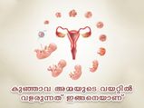 ഗര്‍ഭധാരണം സംഭവിക്കുന്നത് ഇങ്ങനെ:  ഓരോ ഘട്ടങ്ങള്‍ 