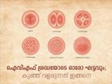 ഐവിഎഫ് എങ്കിലും കുഞ്ഞാവയുടെ വളര്‍ച്ചയിങ്ങനെ
