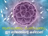 കുഞ്ഞ് ആണോ പെണ്ണോ; തീരുമാനം പുരുഷബീജത്തിന്‍റേത്