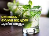 ഔഷധമാണ് രാവിലെ ഒരു ഗ്ലാസ് പുതിന വെള്ളം