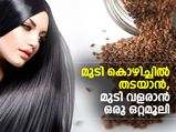 മുടികൊഴിയില്ല, വളരും; ഈ ഒറ്റമൂലി അല്‍പം