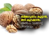ബീജഗുണം, അമിതവണ്ണം; വാല്‍നട്ട് മികച്ചത്‌