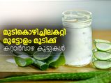 മുടികൊഴിച്ചിലകറ്റി മുട്ടോളം മുടിക്ക് കറ്റാര്‍ വാഴ
