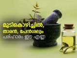 മുടികൊഴിച്ചില്‍, താരന്‍, പേന്‍ശല്യം; ഒറ്റ പരിഹാരം 