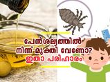 പേന്‍ശല്യത്തില്‍ നിന്ന് മുക്തി വേണോ? ഇതാ പരിഹാരം