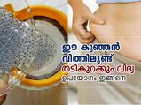 ഈ കുഞ്ഞന്‍ വിത്തിലുണ്ട് തടികുറക്കും സൂത്രം 