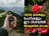 വീട്ടില്‍ മരങ്ങളും ചെടികളും ഈ ദിശയിലാണോ? ഫലം ദോഷം