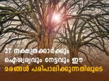  ഓരോ നക്ഷത്രക്കാരും ഈ 27 മരങ്ങള്‍ നട്ടു പിടിപ്പിച്ചാല്‍ ജീവിതത്തിലുണ്ടാവും മാറ്റം