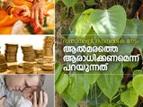 ആല്‍മരത്തെ ആരാധിക്കണമെന്ന് പറയുന്നത് എന്തിന് ?