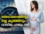 ഗര്‍ഭധാരണവും നല്ല കുഞ്ഞും; വാസ്തു പറയും വഴി
