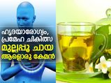 ഹൃദയാരോഗ്യം, പ്രമേഹ ചികിത്സ; മുല്ലപ്പൂ ചായ ആളൊരു കേമന്‍