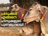 പശു എങ്ങനെ ഹിന്ദുക്കളുടെ പുണ്യമൃഗമായി ?