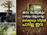 കടം പെരുകും ഒപ്പം ഐശ്വര്യക്കേടും; ഒരിക്കലും വീട്ടില്‍ പാടില്ല ഇവ 