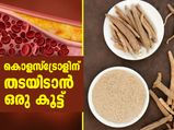 കൊളസ്‌ട്രോളിന് തടയിടാനൊരു കൂട്ട്; അതാണ് ഈ വിരുതന്‍