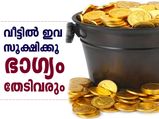 ഭാഗ്യം തേടിവരും, തീര്‍ച്ച; വീട്ടില്‍ ഇതൊക്കെ സൂക്ഷിക്കൂ