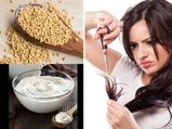 മുടിപൊട്ടല്‍ പ്രശ്‌നമാണോ നിങ്ങള്‍ക്ക് ? എളുപ്പ പരിഹാരം ഈ മാസ്‌ക്