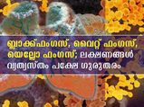 ബ്ലാക്ക്ഫംഗസ്, വൈറ്റ് ഫംഗസ്,  യെല്ലോ ഫംഗസ്; ഏറ്റവും അപകടകരവും ഗുരുതരവും ഏത്