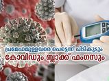 പ്രമേഹമുള്ളവരെ പെട്ടെന്ന് പിടികൂടും കോവിഡും ബ്ലാക്ക് ഫംഗസും; ഇക്കാര്യങ്ങള്‍ ശ്രദ്ധിച്ചാല്‍ രക്ഷ