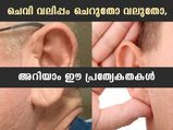 ചെവി വലുതോ ചെറുതോ; പ്രശസ്തിയാണോ ദുഷ്‌കീര്‍ത്തിയാണോ ഫലമെന്നറിയാം
