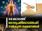മഴക്കാലത്ത് പ്രതിരോധശേഷി കുറയാതിരിക്കാന്‍ കഴിക്കണം ഇതെല്ലാം