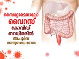 സൈറ്റോമെഗാലോ വൈറസ്; കോവിഡ് ബാധിതരില്‍ അപൂര്‍വ അനുബന്ധ രോഗം