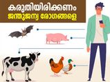 കോവിഡ് കാലത്ത് ജന്തുജന്യ രോഗങ്ങളെ കരുതിയിരിക്കണം