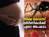 അബോര്‍ഷന് വരെ സാധ്യത; സിക്ക വൈറസ് ഗര്‍ഭിണികള്‍ക്ക് കൂടുതല്‍ അപകടം