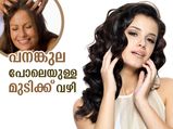 ആരോഗ്യമുള്ള പനങ്കുല പോലുള്ള മുടി വേണോ? വഴി ഇതാണ്‌